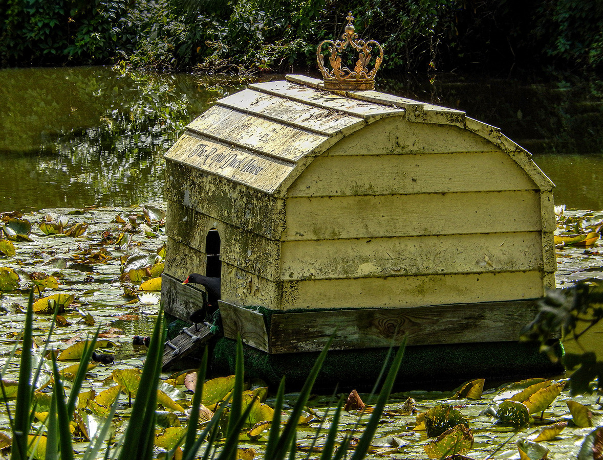 The Royal Duck House - Ann Laverock